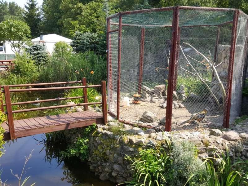 Pod Lasem Holiday home Mrzezyno